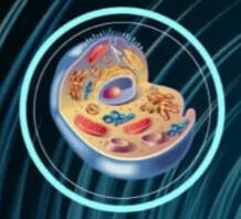 Produção de energia celular